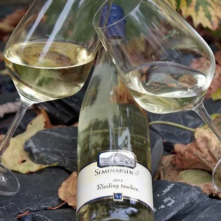 Vendégház Seminarshof