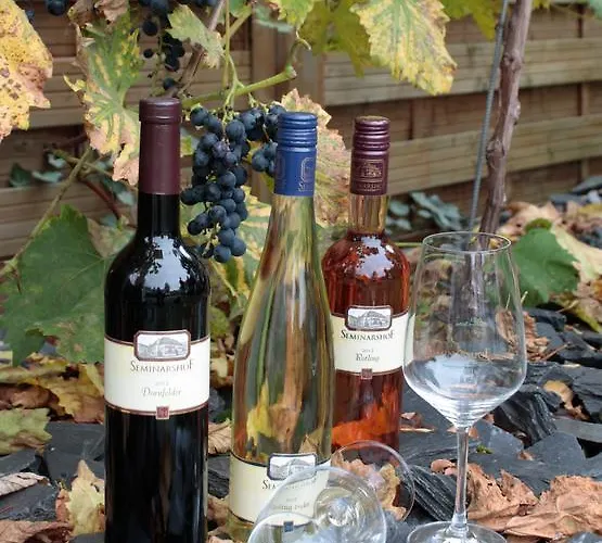 Seminarshof Affittacamere 4*